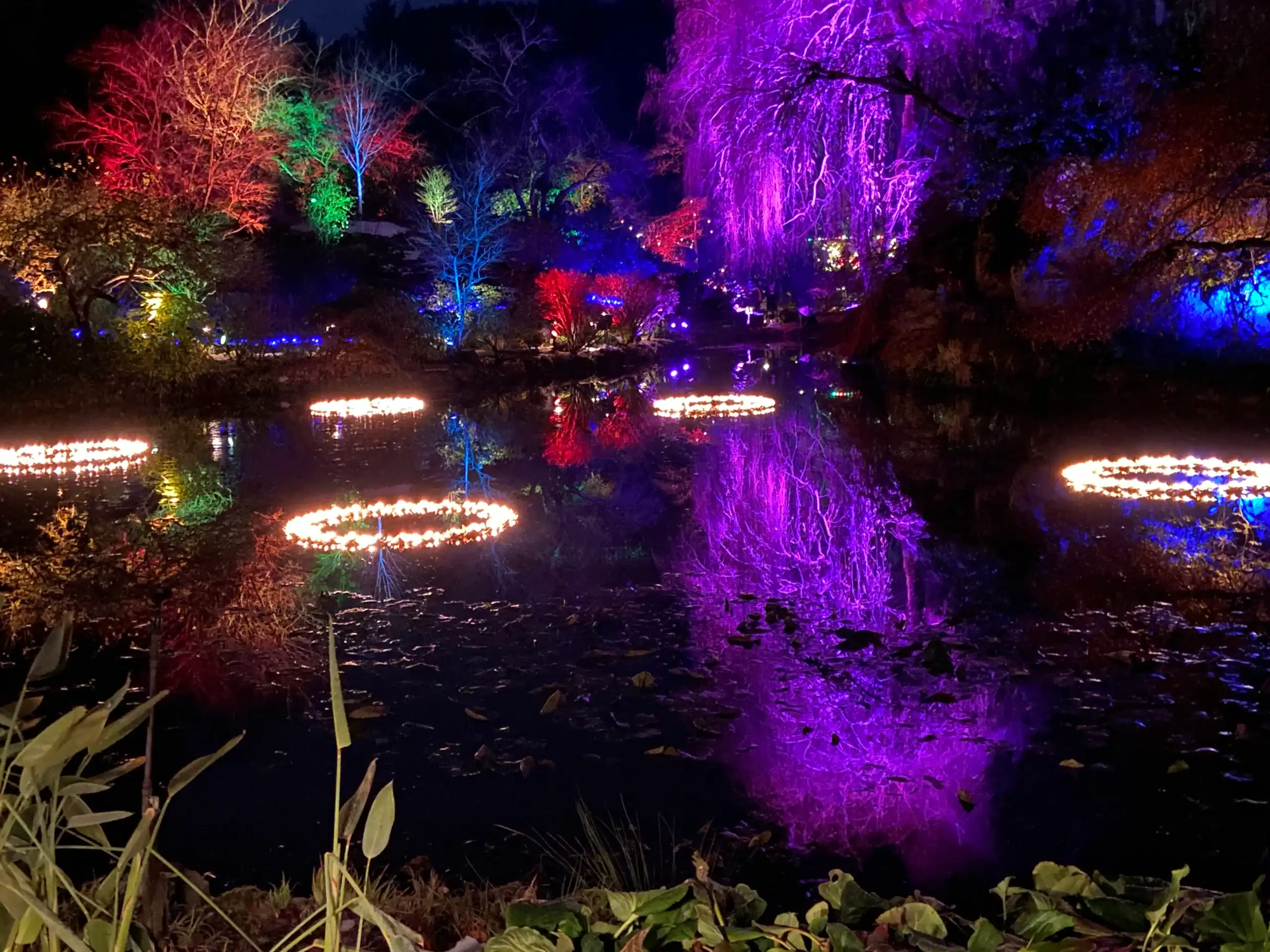 christmas lights at Butchart Gardens