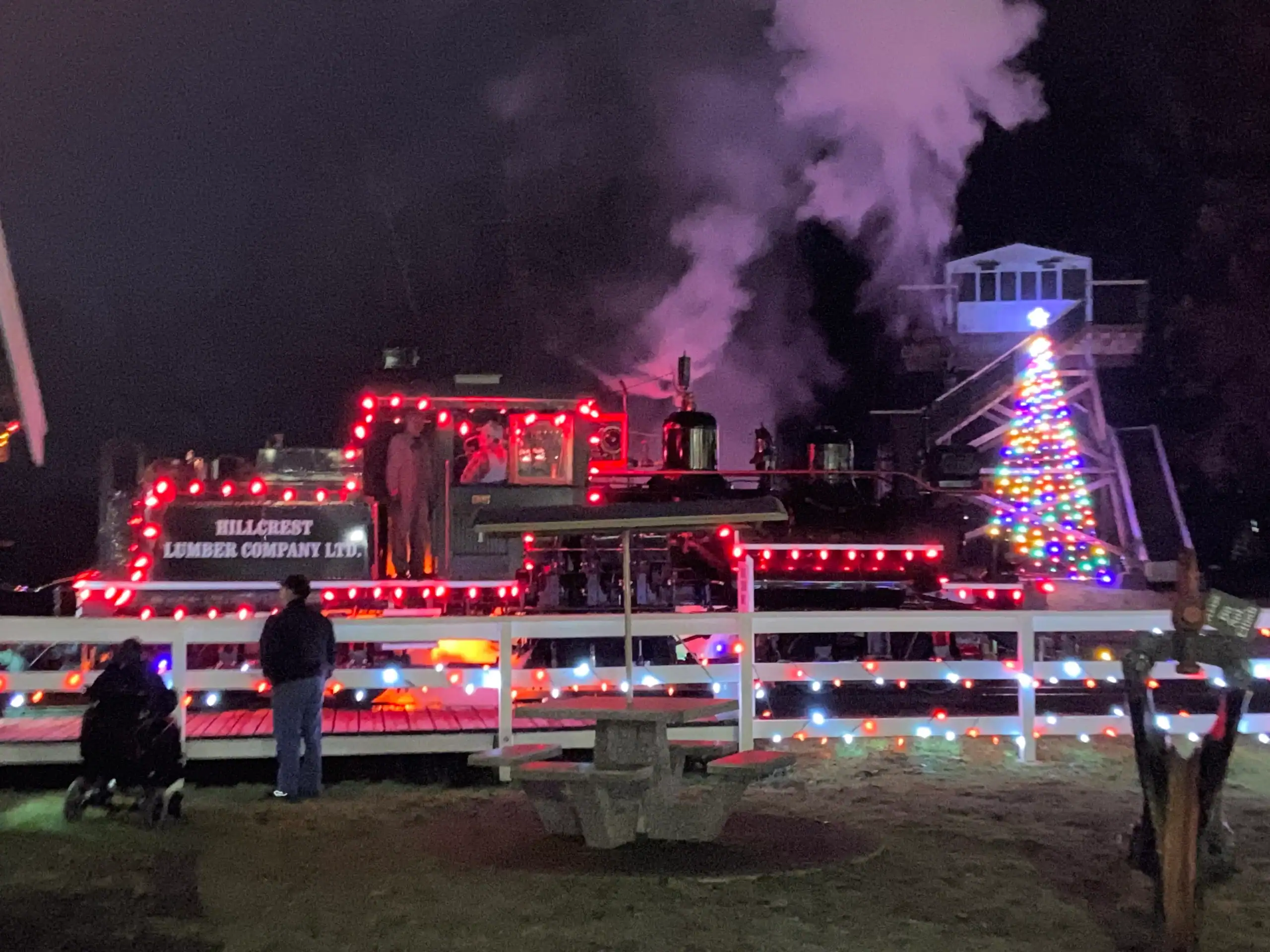 train at the BC Forest Discovery Center